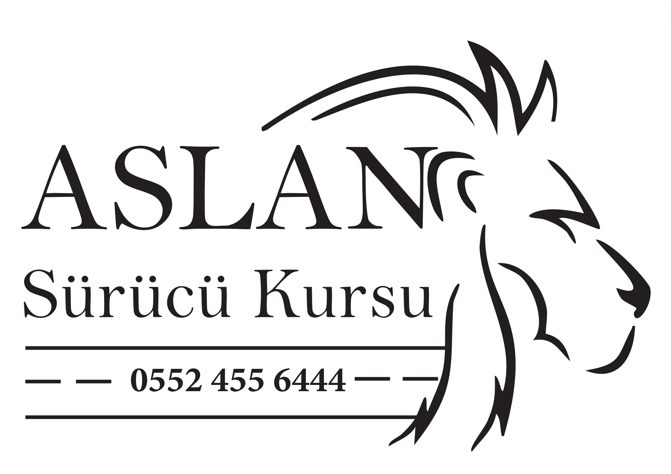 Aslan Sürücü Kursu Logo